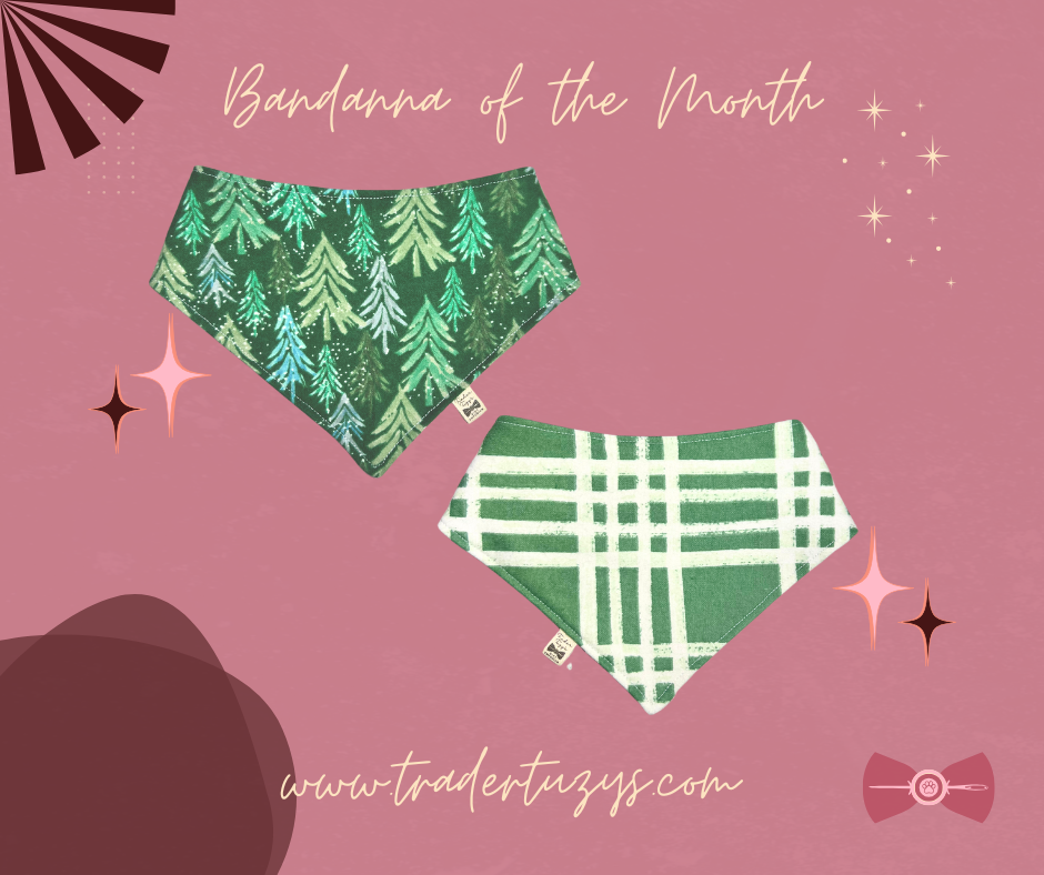 Bandanna of the Month | December 2024