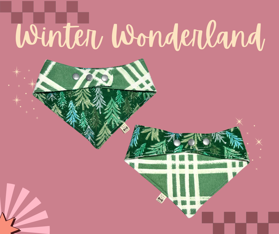 Bandanna of the Month | December 2024