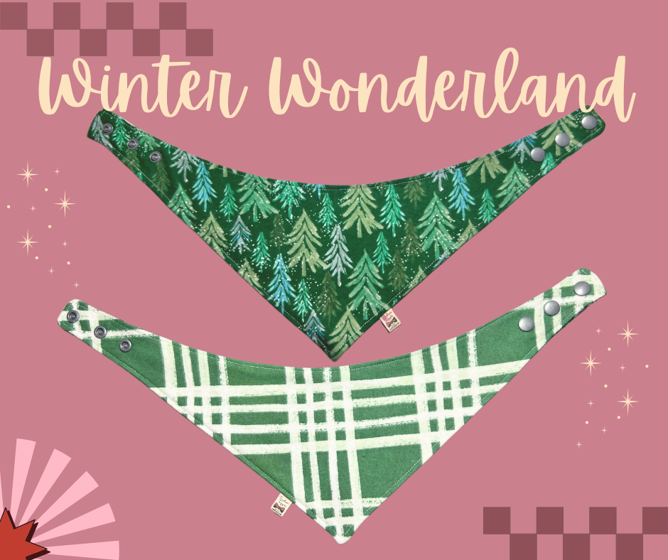 Bandanna of the Month | December 2024